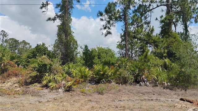 2514 33rd St SW, Lehigh Acres, FL 33976 - photo 5