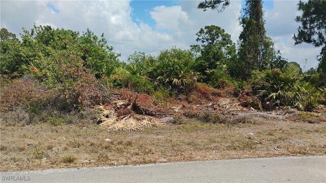 2514 33rd St SW, Lehigh Acres, FL 33976 - photo 1