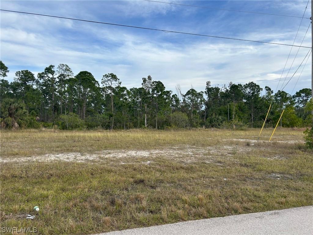 4501 NW 34th Ave, Cape Coral, FL 33993 - photo 3