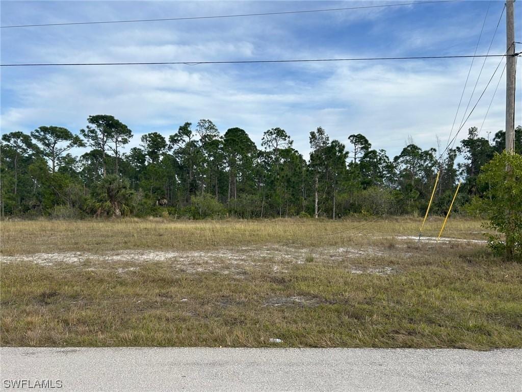 4501 NW 34th Ave, Cape Coral, FL 33993 - photo 1