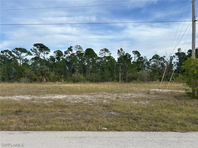 4501 NW 34th Ave, Cape Coral, FL 33993 - photo 1