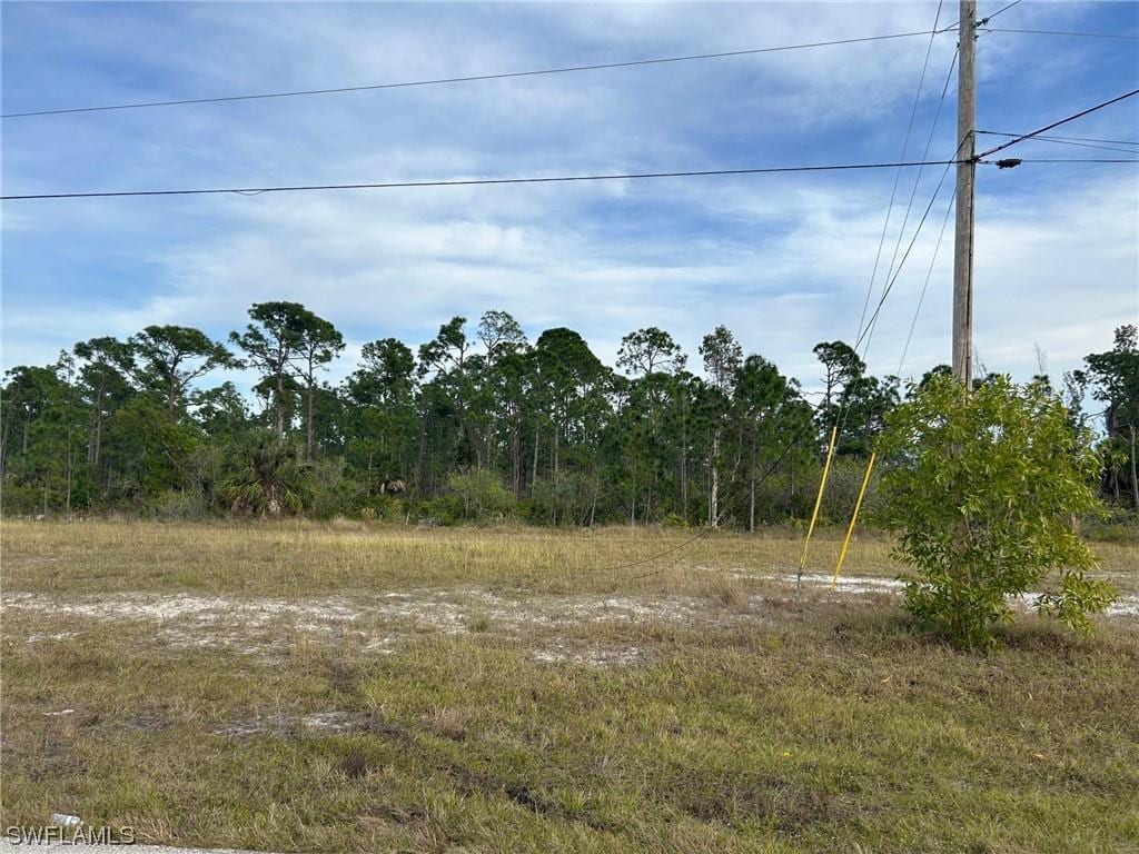 4501 NW 34th Ave, Cape Coral, FL 33993 - photo 4