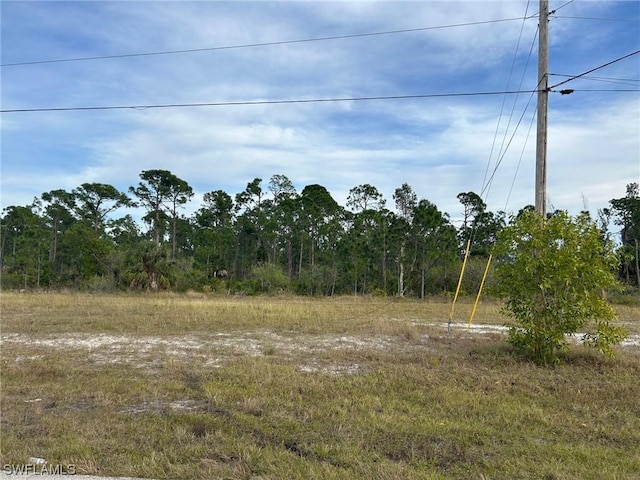 4501 NW 34th Ave, Cape Coral, FL 33993 - photo 4