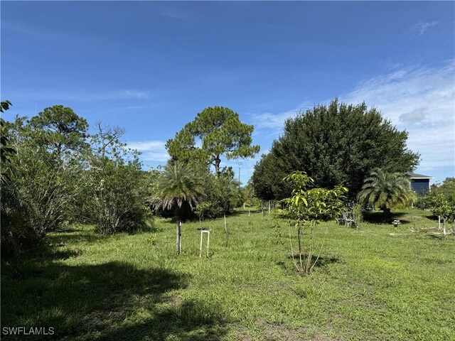 575 S Verda St, Clewiston, FL 33440 - photo 26