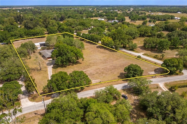 310 Trader Rd, Fort Denaud, FL 33935 - photo 47