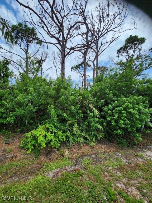 3853 Citrus St, Saint James City, FL 33956 - photo 1
