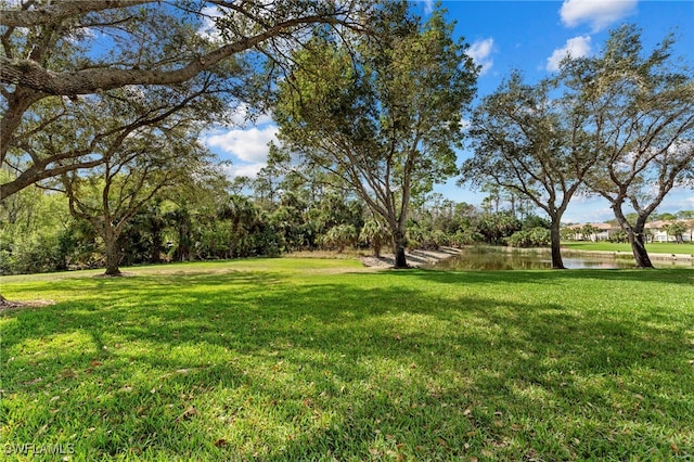 3935 Loblolly Bay Dr Unit 201, Naples, FL 34114 - photo 34