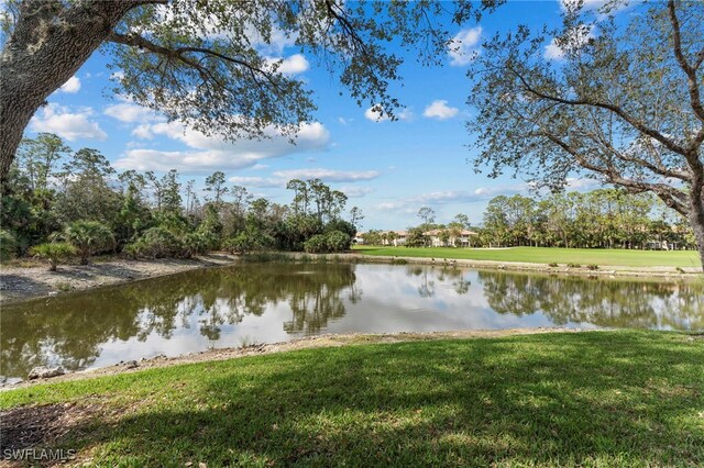 3935 Loblolly Bay Dr Unit 201, Naples, FL 34114 - photo 36