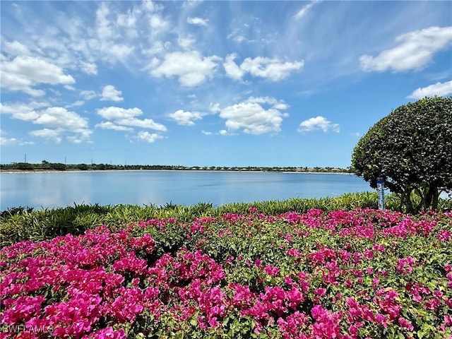 10317 Heritage Bay Blvd Unit 1418, Naples, FL 34120 - photo 33