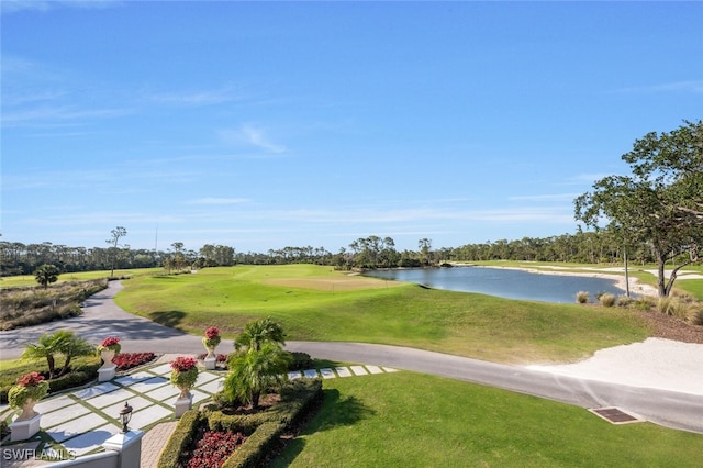 29115 W Teramo Way, Naples, FL 34110 - photo 50