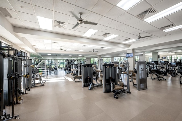 29115 W Teramo Way, Naples, FL 34110 - photo 47
