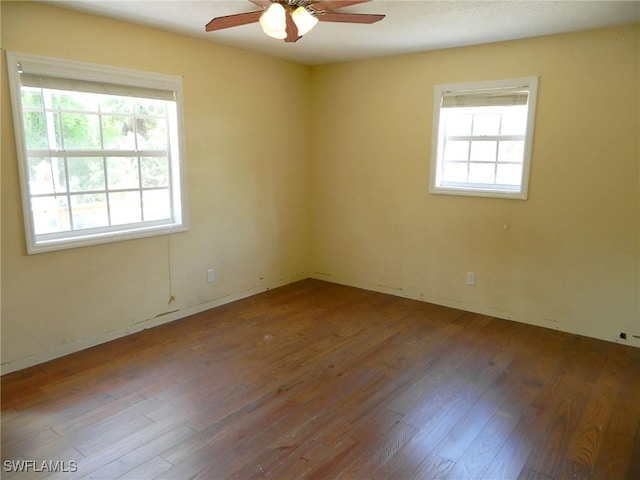 3611 8th Ave SE, Naples, FL 34117 - empty room with plenty of natural light, wood-type flooring, and a ceiling fan