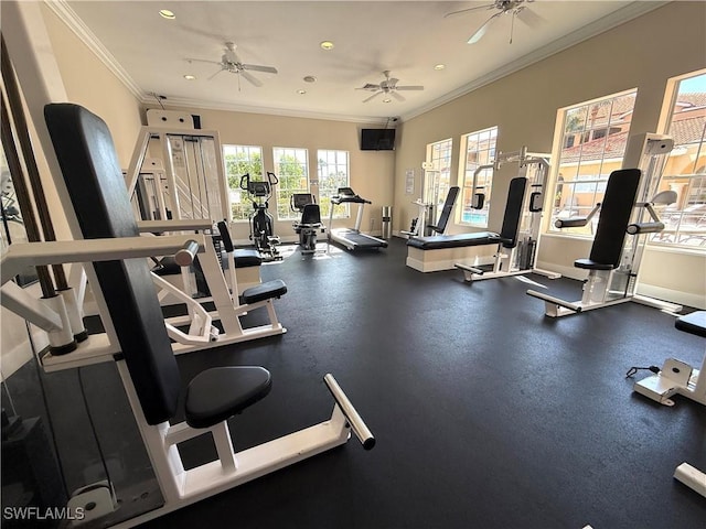 8659 River Homes Ln Unit 1206, Bonita Springs, FL 34135 - photo 8
