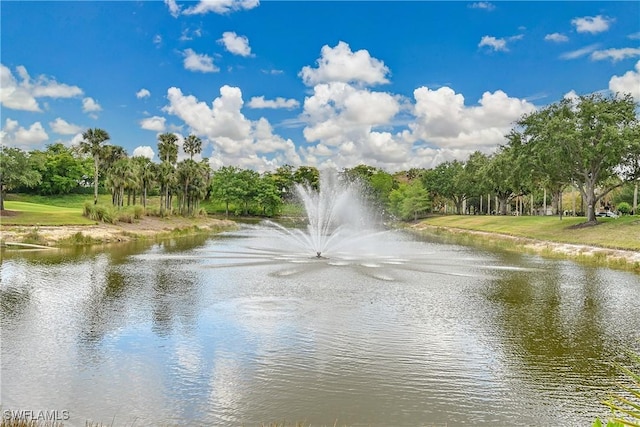 9411 Monteverdi Way, Fort Myers, FL 33912 - photo 47