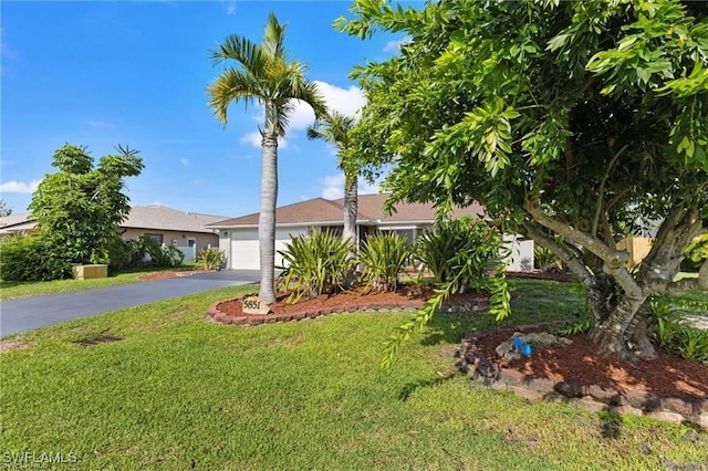 5851 Lincoln Rd, Venice, FL 34293 - photo 2