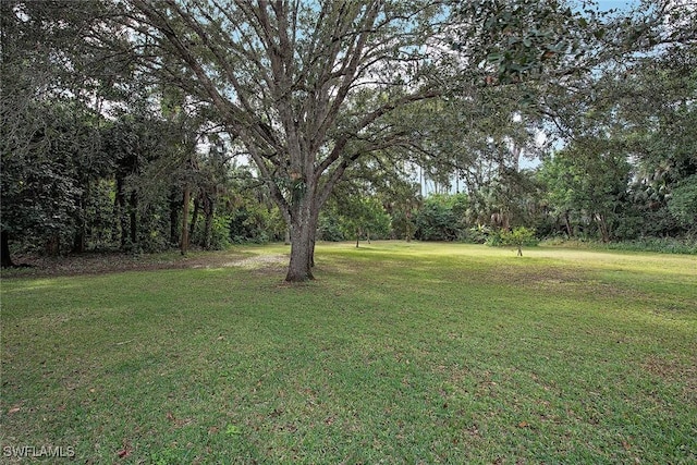 5530 Palmetto Woods Dr, Naples, FL 34119 - photo 15