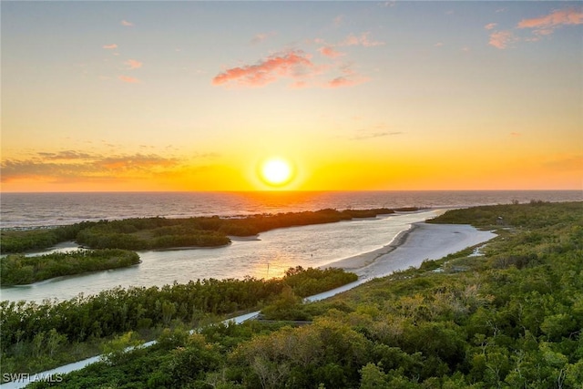 440 Seaview Ct Unit 1208, Marco Island, FL 34145 - photo 4