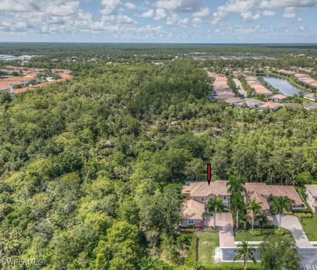 14846 Tybee Island Dr, Naples, FL 34119 - photo 31