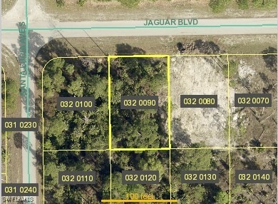 1136 Jaguar Blvd, Lehigh Acres, FL 33974 - photo 1