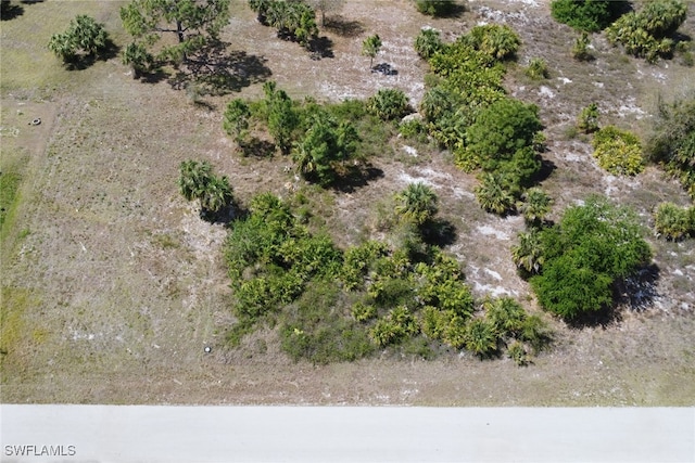 912 Mercury Ave S, Lehigh Acres, FL 33974 - photo 4