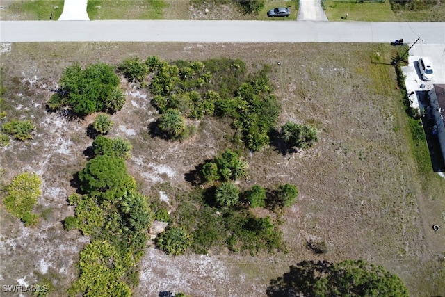 912 Mercury Ave S, Lehigh Acres, FL 33974 - photo 21