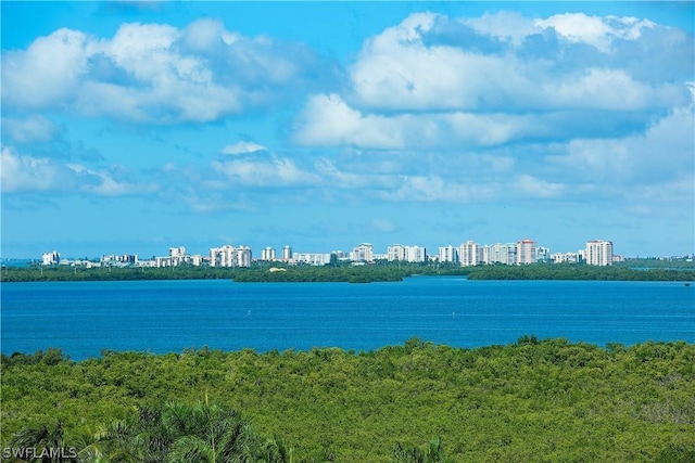 4875 Pelican Colony Blvd Unit 1801, Bonita Springs, FL 34134 - water view with nearby urban area