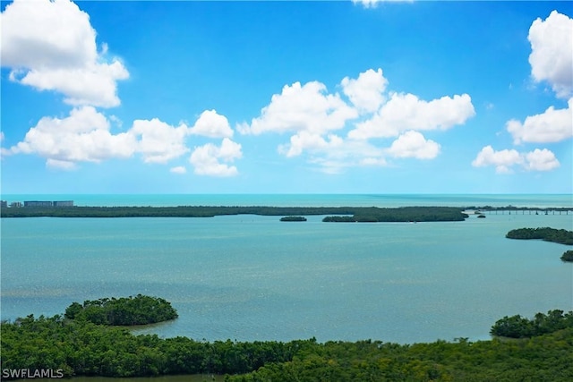 4875 Pelican Colony Blvd Unit 1801, Bonita Springs, FL 34134 - water view
