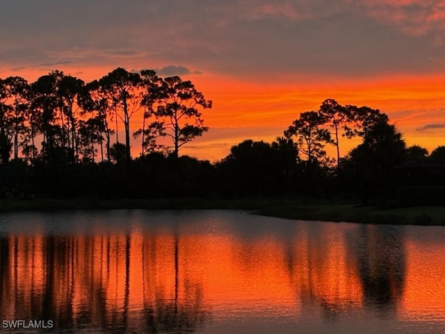 1613 Vizcaya Ln, Naples, FL 34113 - photo 25