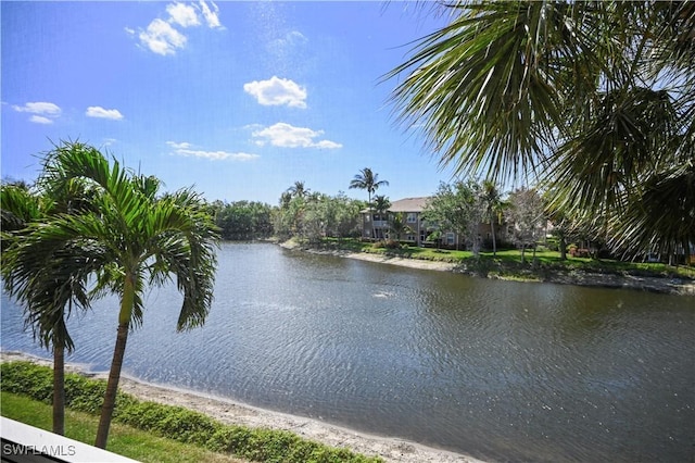 9621 Spanish Moss Way Unit 3823, Bonita Springs, FL 34135 - photo 18