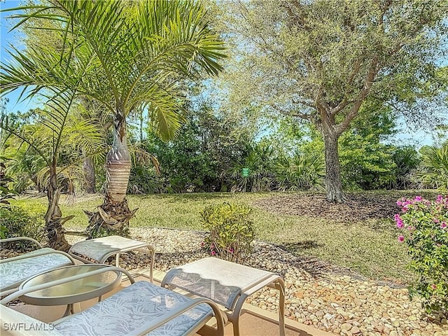 3600 Rue Alec Loop Unit 5, North Fort Myers, FL 33917 - photo 23