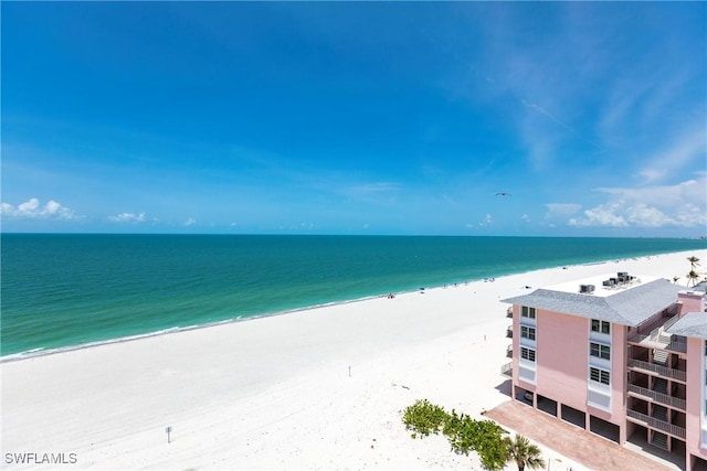 26300 Hickory Blvd Unit 906, Bonita Springs, FL 34134 - photo 24