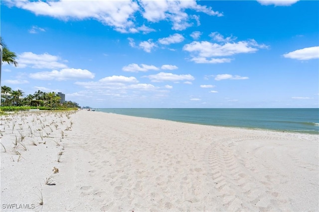 10420 Gulf Shore Dr Unit 132, Naples, FL 34108 - photo 14