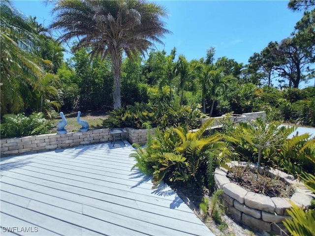 5561 Blyth Ct, Bokeelia, FL 33922 - photo 36