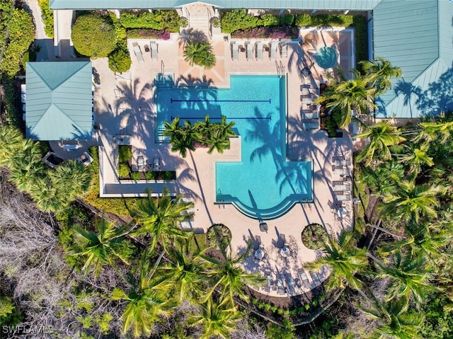 445 Cove Tower Dr Unit 504, Naples, FL 34110 - photo 3