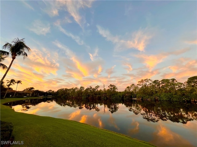 26570 Rookery Lake Dr, Bonita Springs, FL 34134 - photo 31
