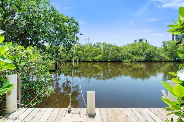 1300 Venetian Way, Naples, FL 34110 - photo 3