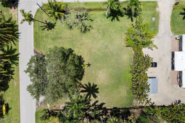 1300 Venetian Way, Naples, FL 34110 - photo 18