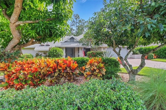 2294 Royal Ln, Naples, FL 34112 - photo 3