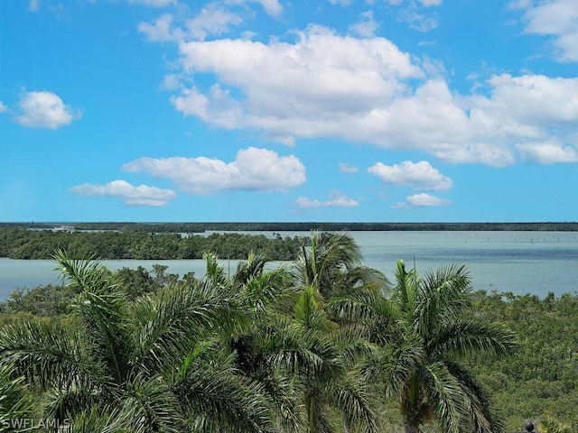 5051 Pelican Colony Blvd Unit 401, Bonita Springs, FL 34134 - water view