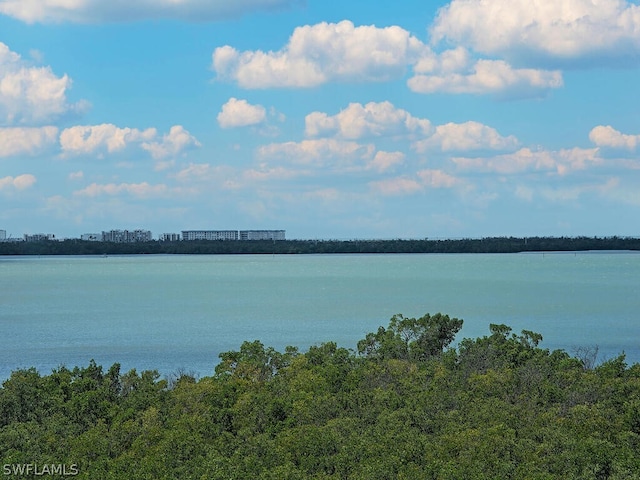 5051 Pelican Colony Blvd Unit 401, Bonita Springs, FL 34134 - water view