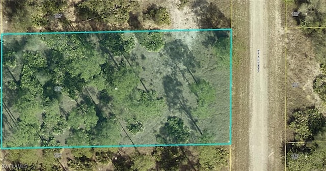 1507 Poinsettia Ave, Lehigh Acres, FL 33972 - photo 1