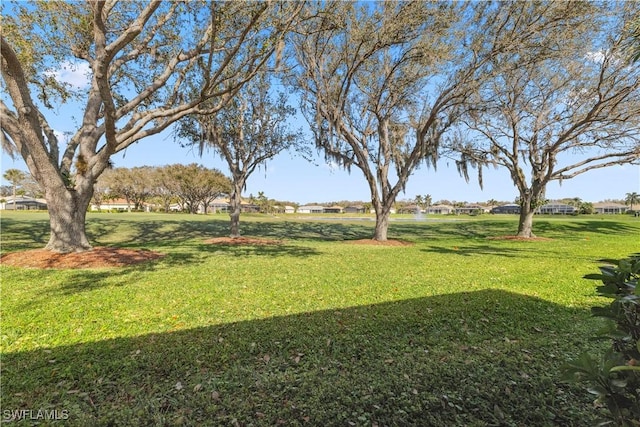 20860 Rivers Frd, Estero, FL 33928 - photo 31