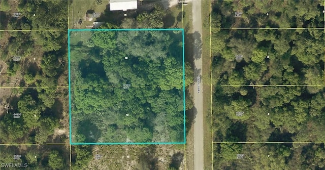 913 Abbott Ave, Lehigh Acres, FL 33972 - photo 1