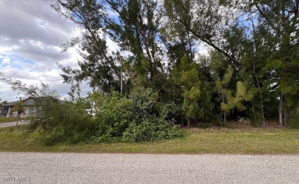 205 E 9th St, Lehigh Acres, FL 33972 - photo 3
