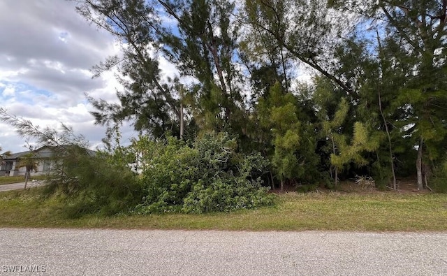 205 E 9th St, Lehigh Acres, FL 33972 - photo 3