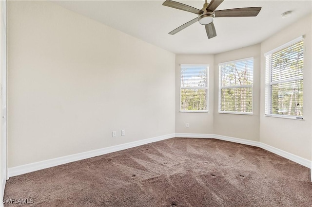 11164 Sparkleberry Dr, Fort Myers, FL 33913 - photo 34