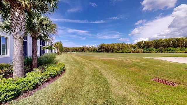 6082 National Blvd Unit 128, Ave Maria, FL 34142 - photo 44