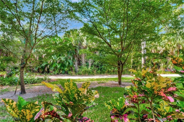 3323 Olympic Dr Unit 715, Naples, FL 34105 - photo 27
