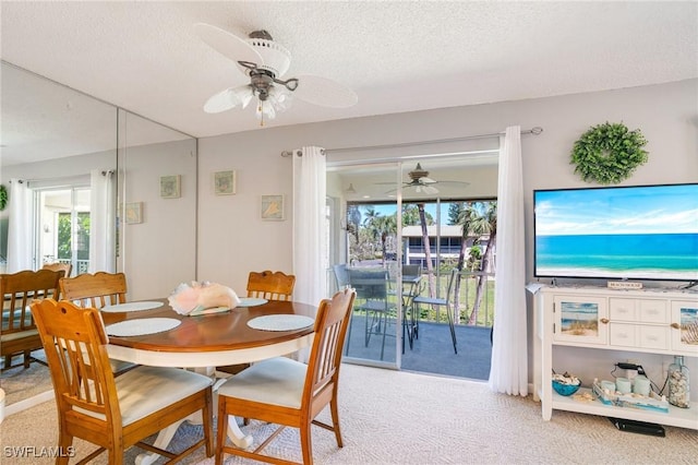 1549 Sandpiper St Unit 34, Naples, FL 34102 - photo 8