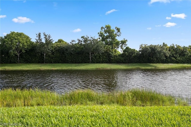 2834 Aviamar Cir, Naples, FL 34114 - photo 30